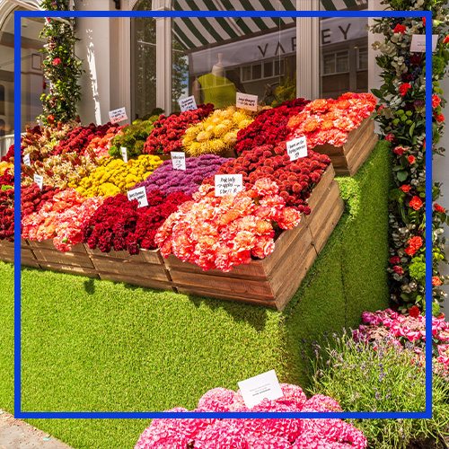 Flower Market