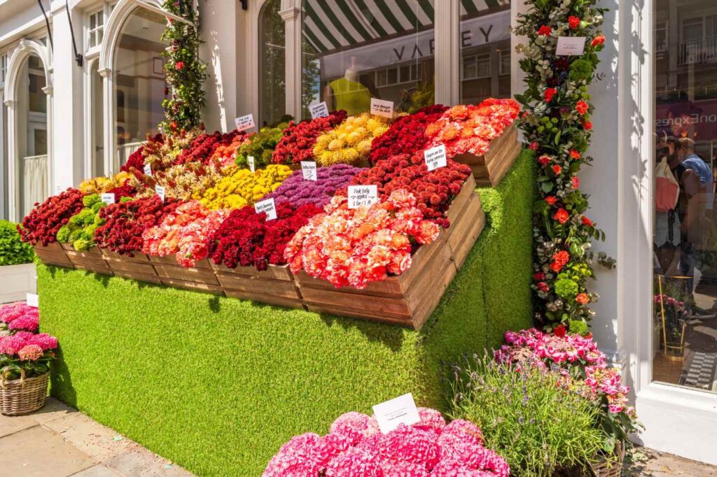 chelsea flower show